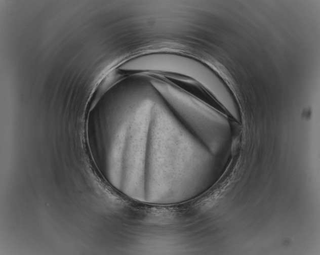 X0000090420850200708031104