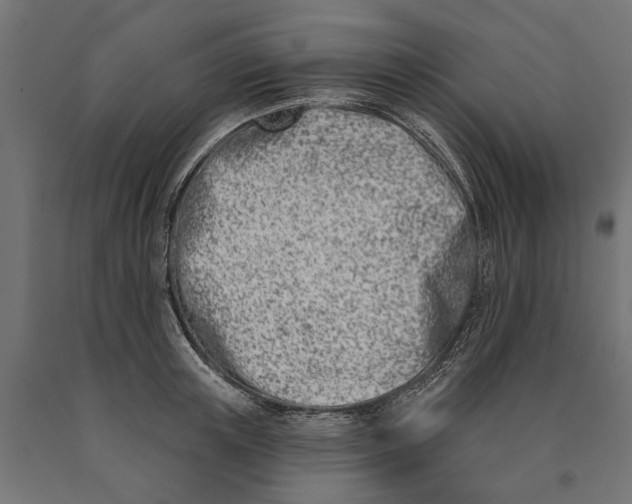 X0000090420851200708031104