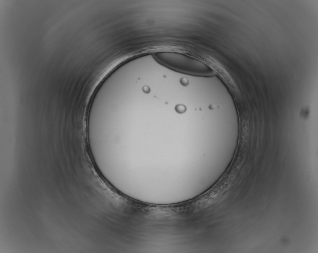 X0000090420852200708031104