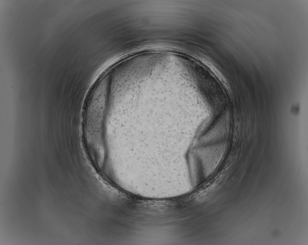 X0000090420853200708031104