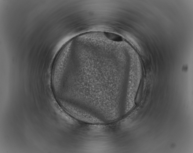 X0000090420854200708031104