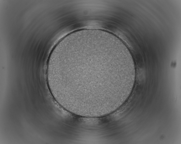 X0000090420856200708031105