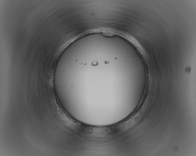 X0000090420857200708031105