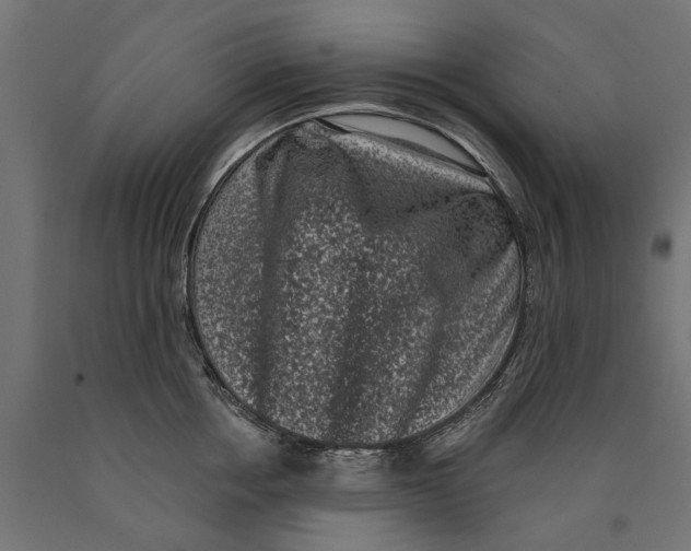 X0000090420858200708031105