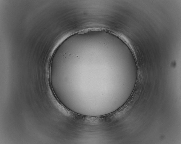 X0000090420859200708031105