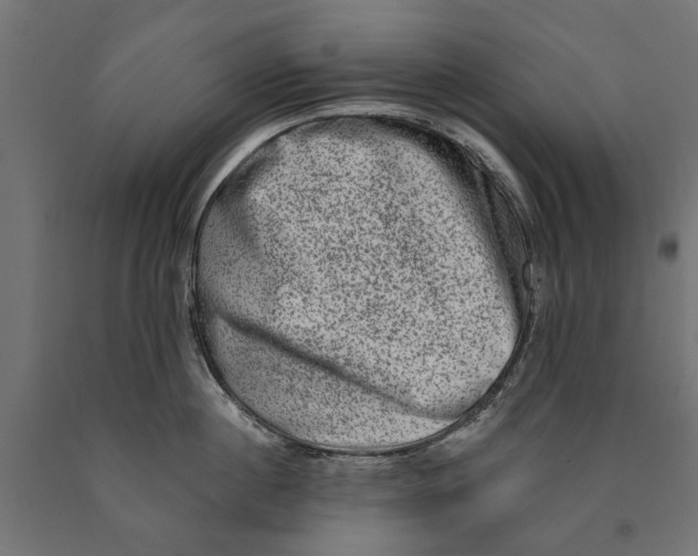 X0000090420860200708031105