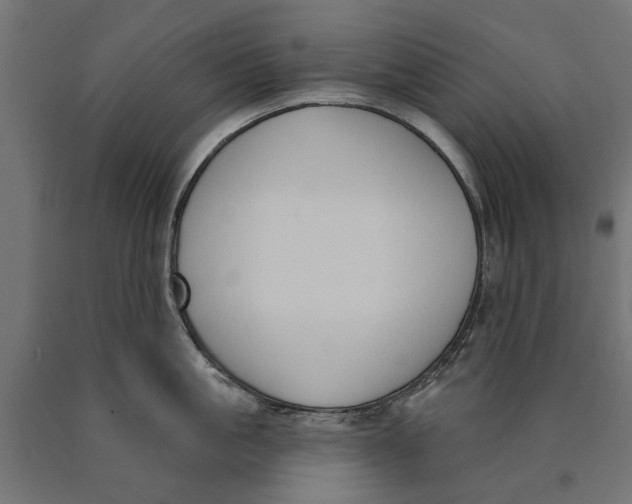 X0000090420861200708031105