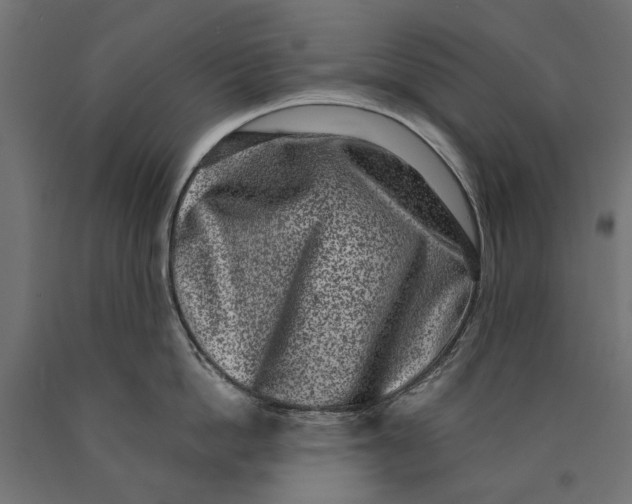 X0000090420862200708031105