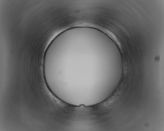 X0000090420863200708031105