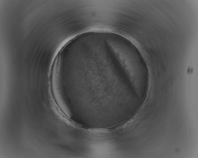 X0000090420864200708031105