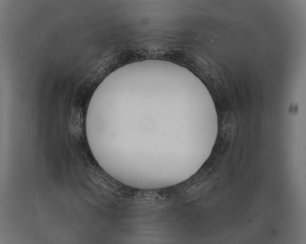 X0000090420866200708031104