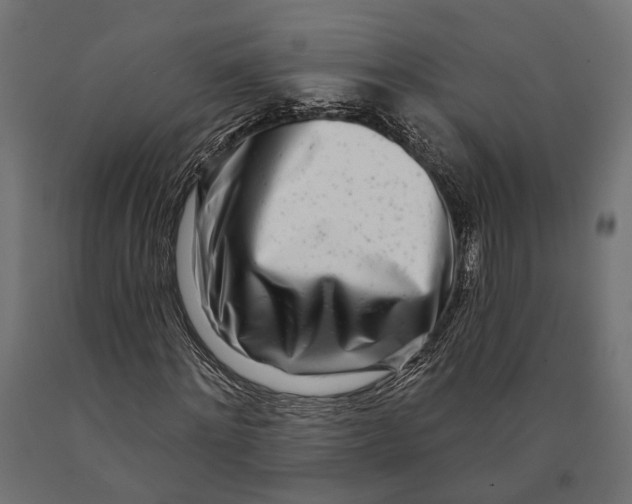 X0000090420868200708031104