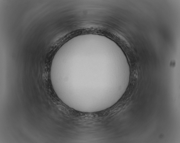 X0000090420869200708031104