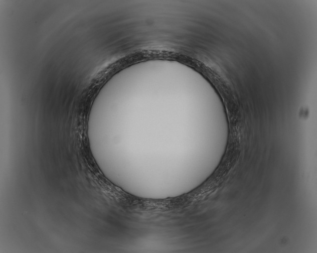 X0000090420870200708031104