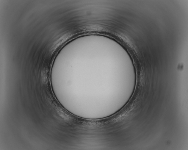 X0000090420873200708031104