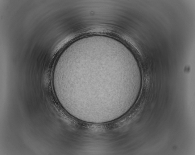 X0000090420874200708031104