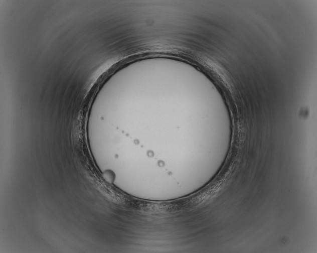 X0000090420875200708031104