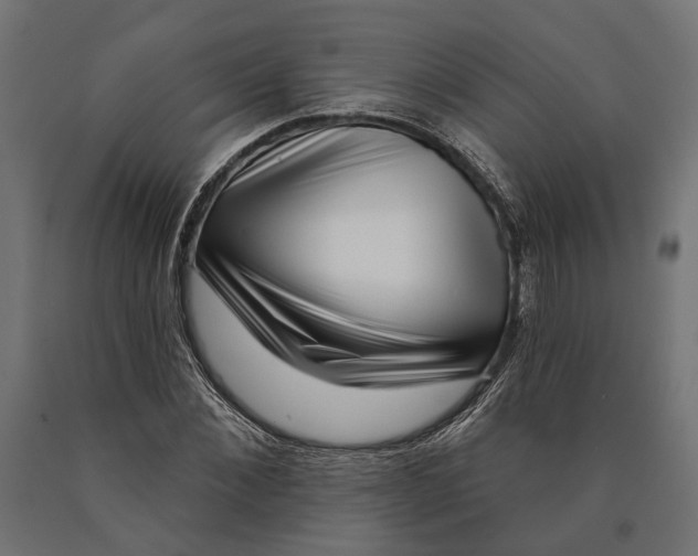 X0000090420876200708031104