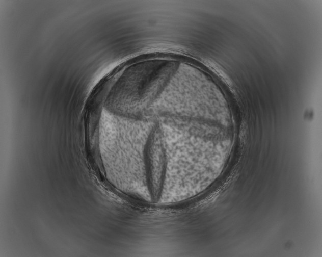 X0000090420877200708031104