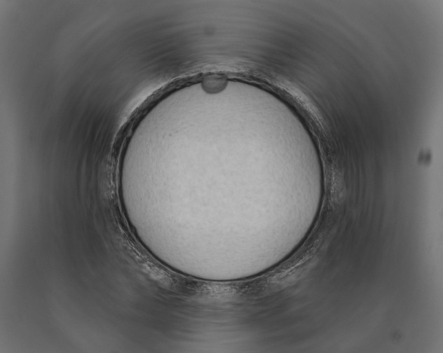 X0000090420878200708031104