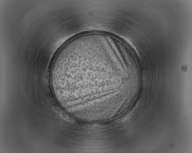 X0000090420879200708031104