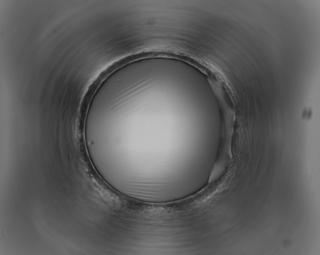 X0000090420880200708031104