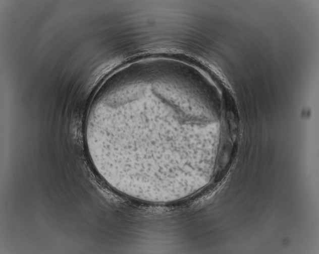 X0000090420881200708031104