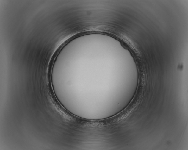 X0000090420884200708031104