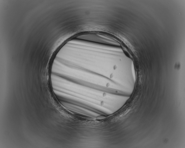 X0000090420885200708031104