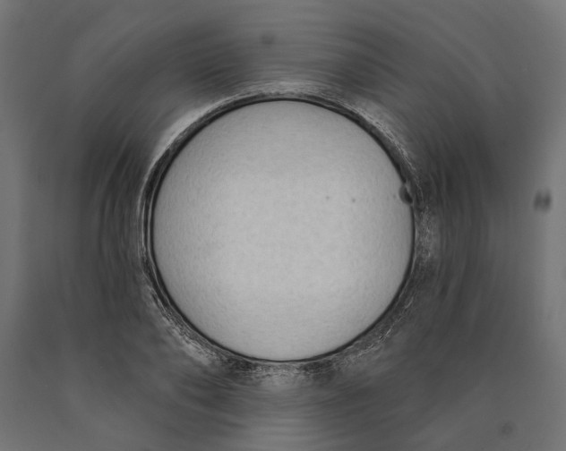 X0000090420886200708031104