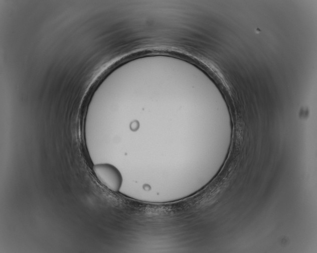 X0000090420887200708031103