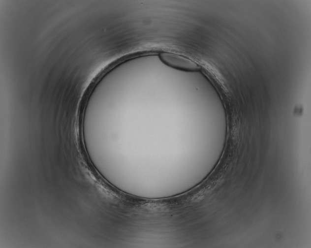 X0000090420888200708031103