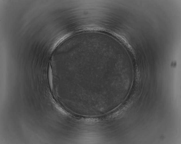 X0000090420889200708031103