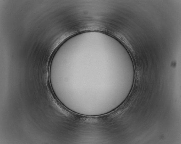 X0000090420890200708031103