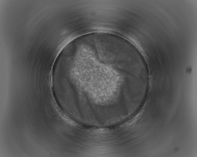 X0000090420891200708031103