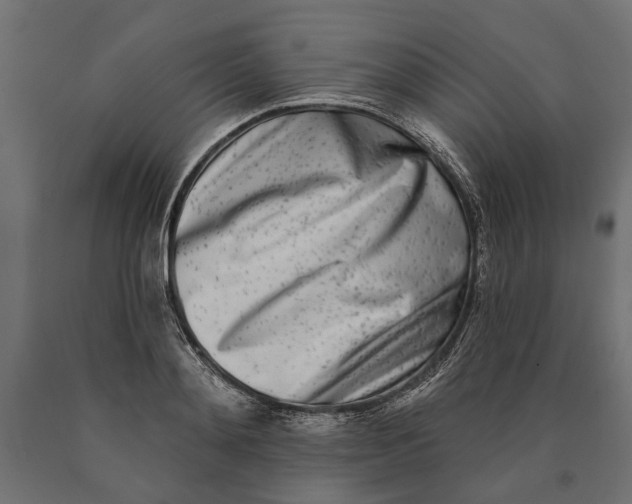 X0000090420892200708031103