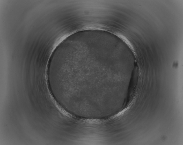 X0000090420893200708031103