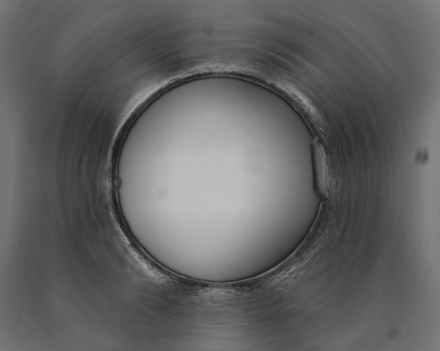 X0000090420894200708031103