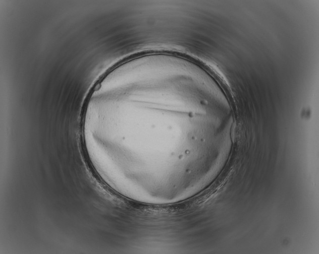 X0000090420895200708031103