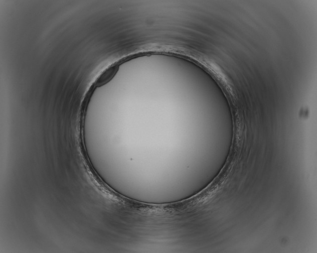 X0000090420896200708031103