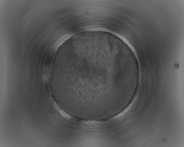 X0000090420897200708031103