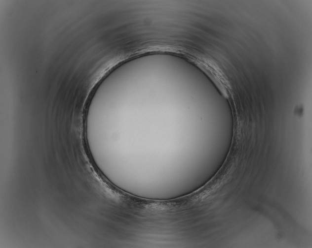 X0000090420898200708031103