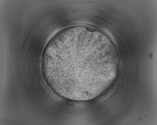 X0000090420899200708031103