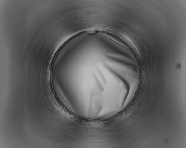 X0000090420900200708031103