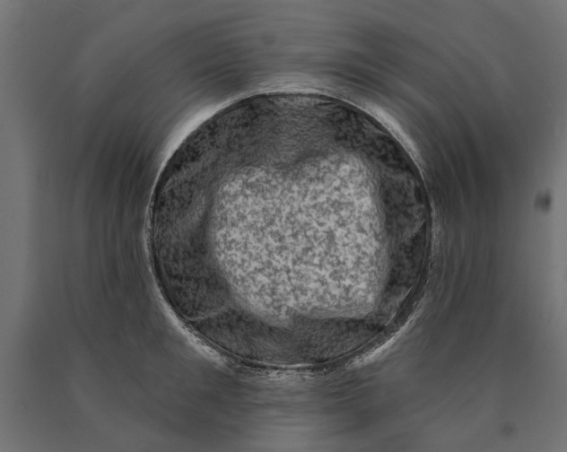 X0000090420901200708031103