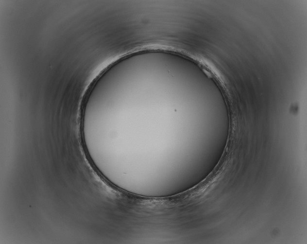 X0000090420902200708031103