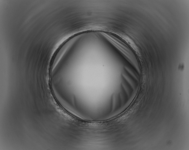 X0000090420904200708031103