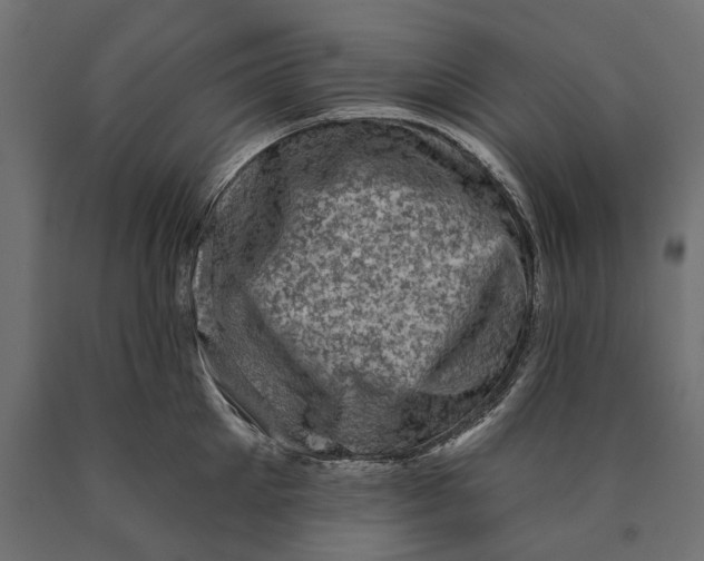 X0000090420905200708031103