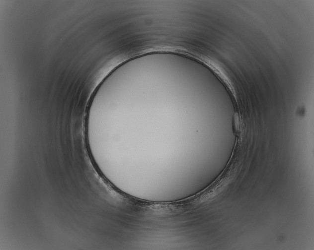 X0000090420906200708031103