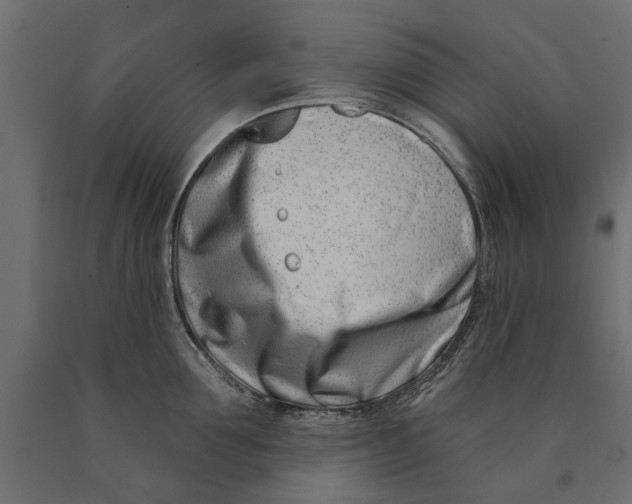 X0000090420907200708031103